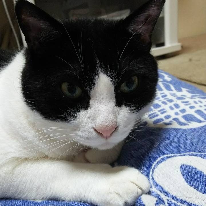 7fb863ec 795a 4ce3 acf9 70e10ccbdcf3 1528810455080