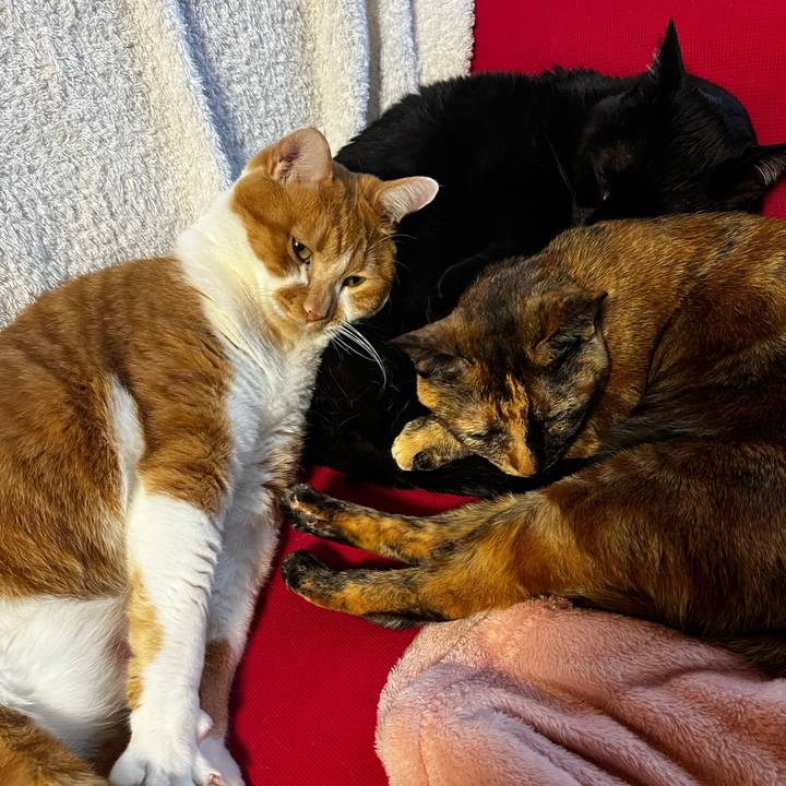 7fb88d2a 5ae1 4139 a1fb d20b76f64c1f 1735713748772