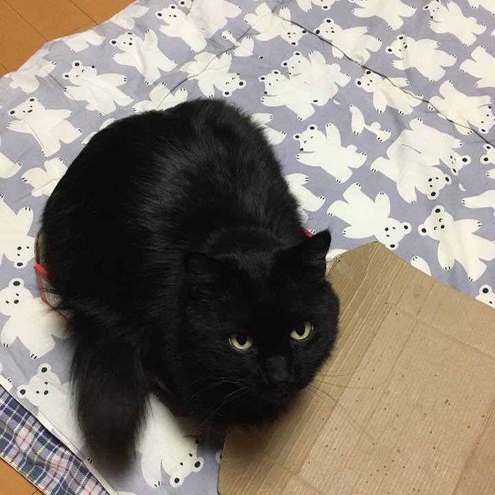 7fb8b066 7601 4e99 8f2c 35a9ab8ceb9d 1522677523287