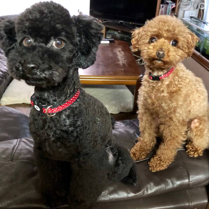 7fb8cdbf ed2f 4226 ab96 d3c1f15cf4ec 1557827504333