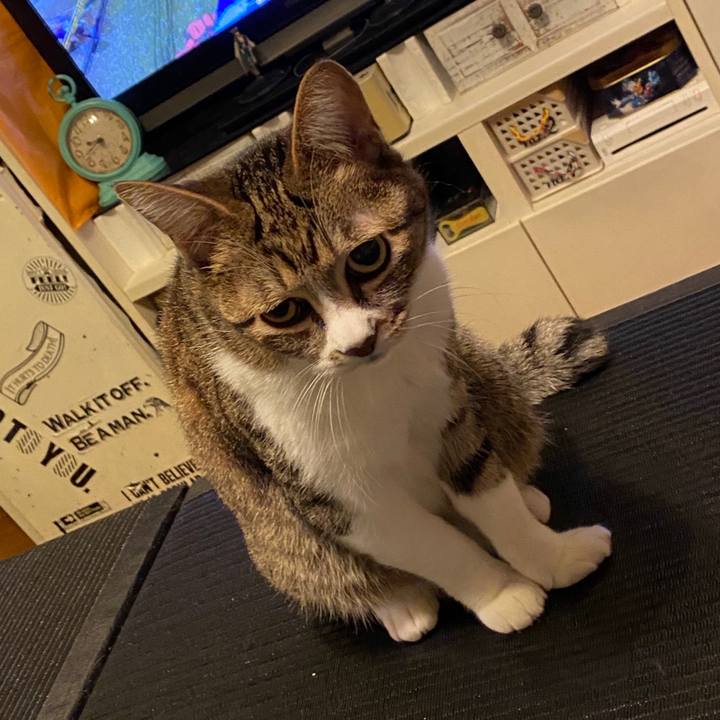 7fb8e9d0 cf19 4594 b394 38990e83377a 1585751871540