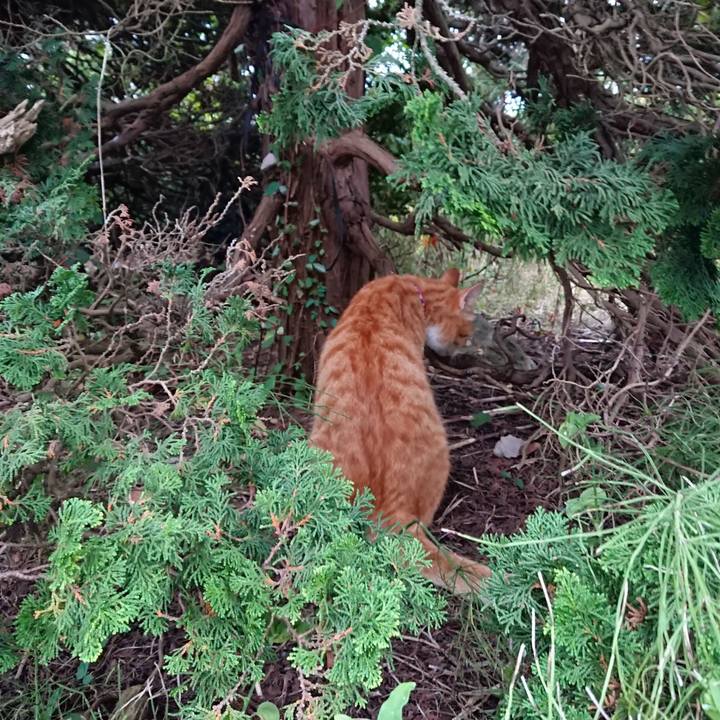 7fb90543 db4d 466f b6bd 02e0e047f616 1570156535878