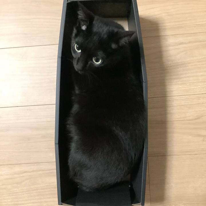 7fb9a511 b40b 485c 99f1 51fbef096810 1676728163879