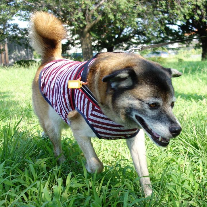 7fb9bffd 7c86 4651 9d87 8f71a8ab5224 1642733590099