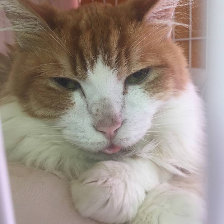 7fb9d0e0 d6a4 4161 9bf0 793478ff44e0 1563776939904