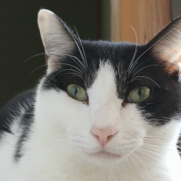 7fb9e76c 644d 4abc 8522 65c31bb628fa 1543887889773