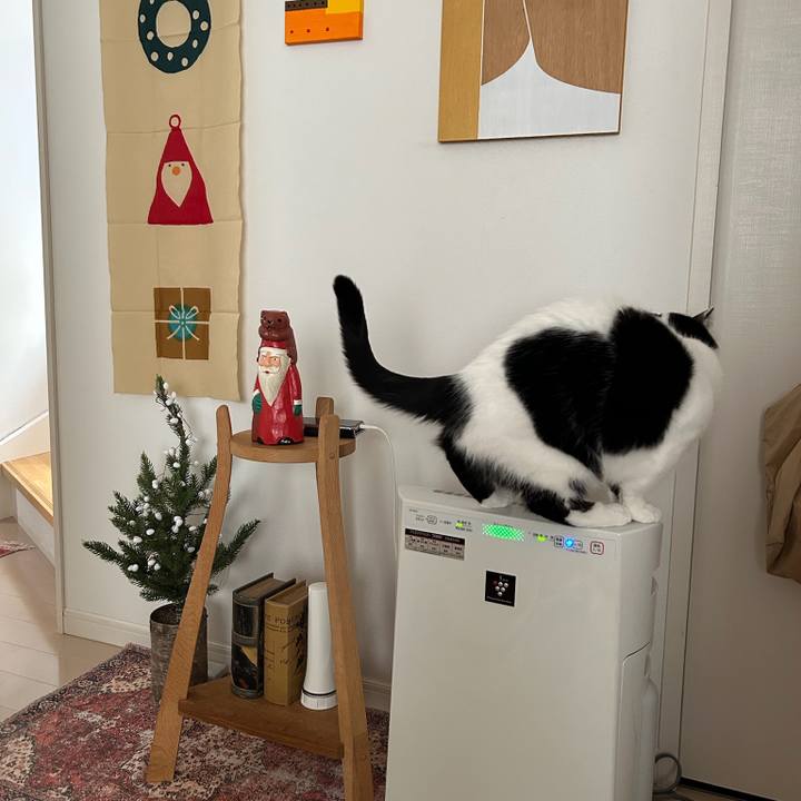 7fba453e 763f 4e9d bbe0 6df6f7af6244 1765670414086