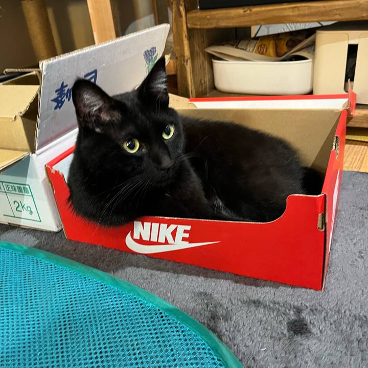 7fba4a2a cb59 4cfd 8ece c9bbcd5dd223 1647695585934