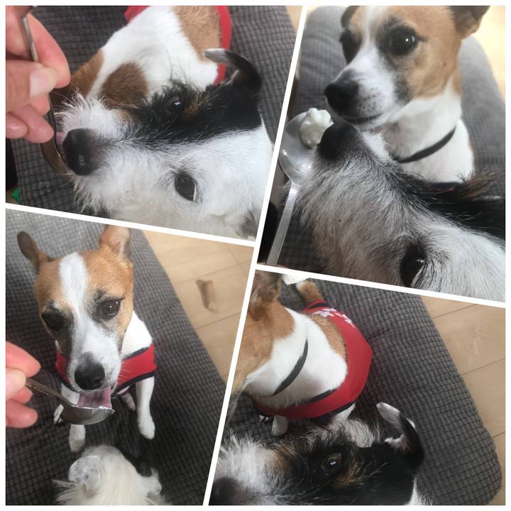 7fba7e06 21d4 42a7 9dbd e4c34aa5e43c 1530226155277