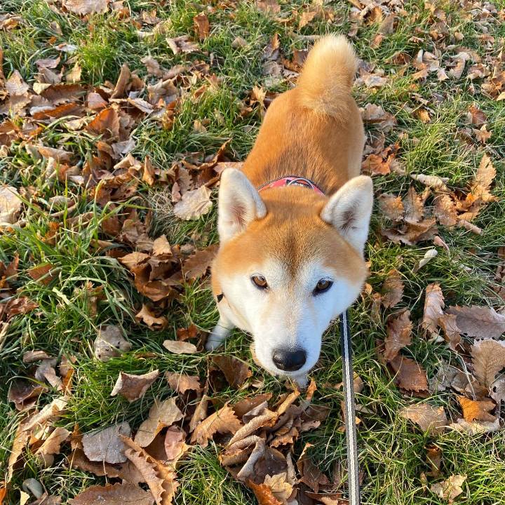 7fba9625 910c 41c9 8ffe 75a3b32bebc7 1607570557023