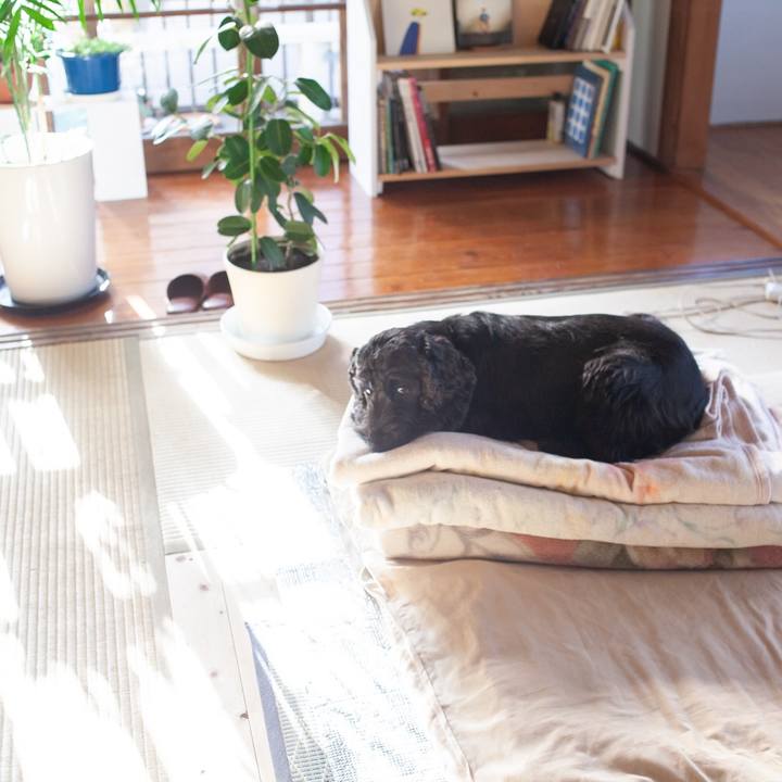 7fba9c5b 2249 417d ad31 002032aad252 1548241582982