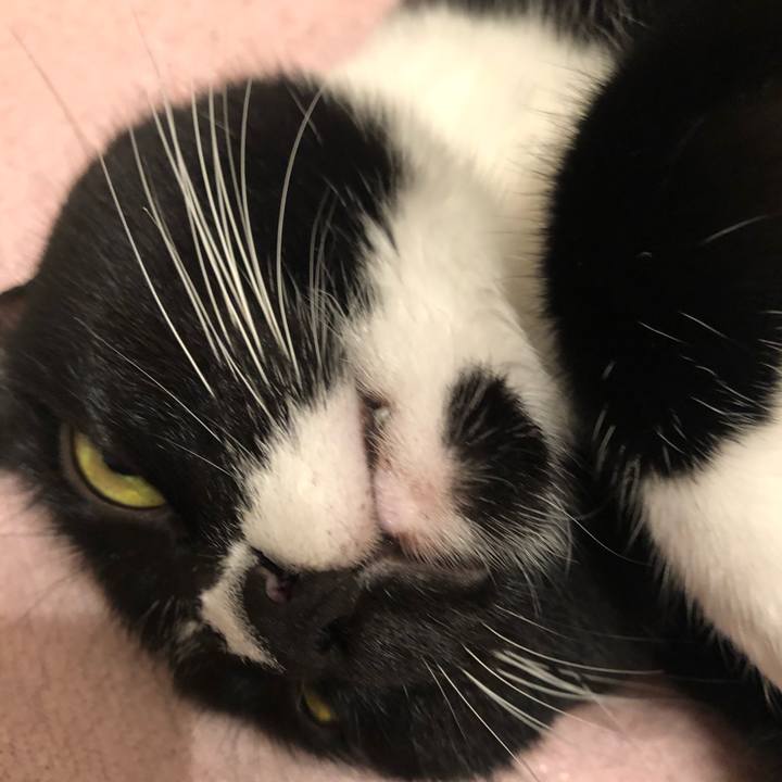 7fbaa87e 2a5c 412d 95c7 084e28cd646c 1564960325635