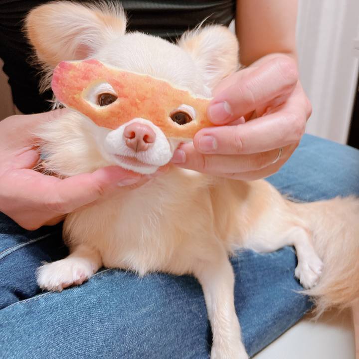 7fbab4fb bc8e 4f88 a1c1 4c66e2959035 1663933666972