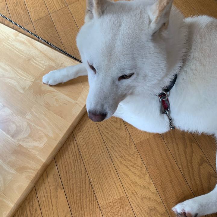 7fbad071 5004 4f51 9797 b34bc050aa33 1574821233229