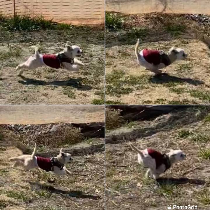 7fbad685 0785 4bc4 9881 b5dc4e0de61c 1646663842034