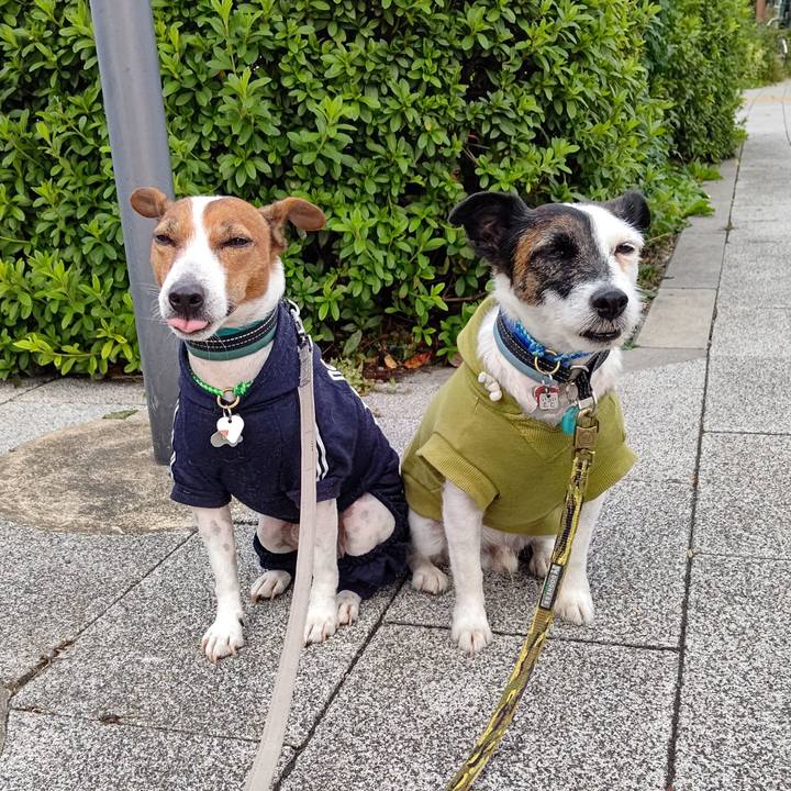 7fbaf186 c9fe 4a5b a411 198b617fc9c0 1699827637260