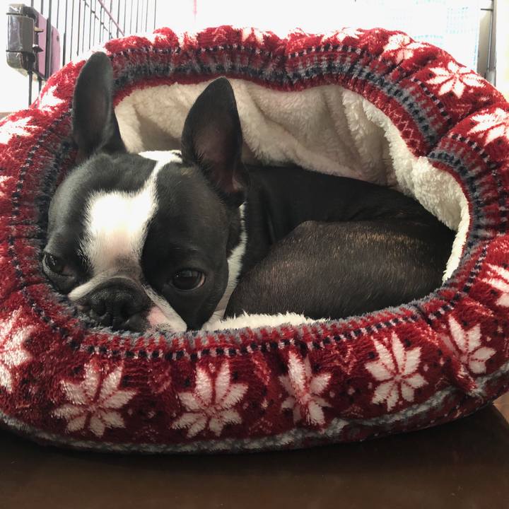 7fbaf69b d9ea 410e 92bc ec53631af6f2 1547205035374