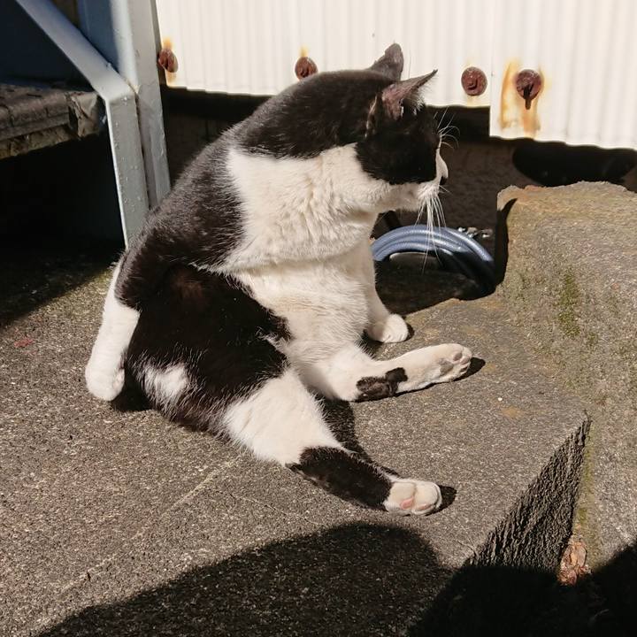 7fbafce1 7be2 4328 b267 64138c629e76 1547435896158