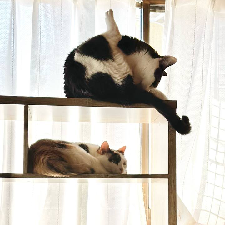 7fbb36bf 904b 423f 807f 54ab450a064b 1698544703143