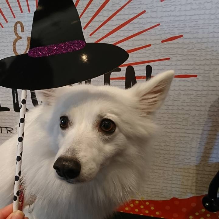 7fbb5e1d c4ec 4e0a 8f4c f6008cd42a80 1538895821716