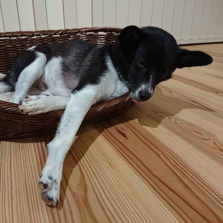 7fbb6292 2eb9 465d 8194 d5851a474d0e 1567005046235