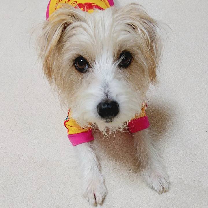 7fbb77ac 4fe0 41b3 a613 5b5c4a030434 1578348924584