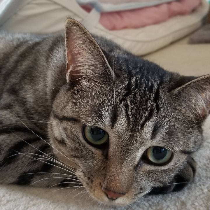 7fbb7f85 cfaf 46f5 a861 986e2699f2a5 1690546589751