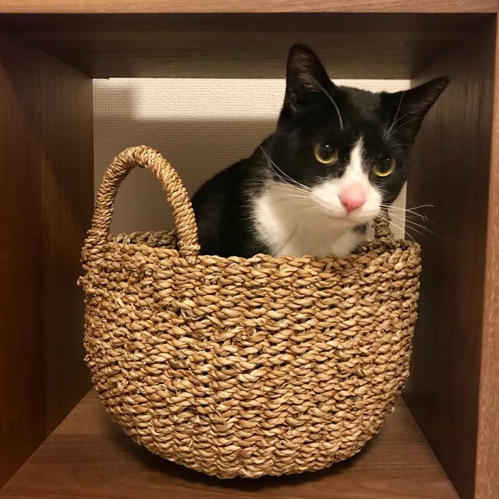 7fbbb7c3 af2b 4456 bbaa 8978bdca1f9b 1518170375580