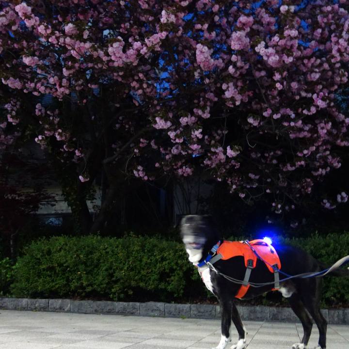 7fbbd093 828d 413a 8c8b 05e73ab2412f 1744817731483