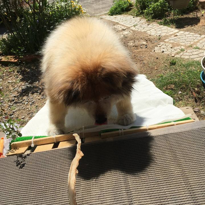 7fbbef69 cd9f 436f aa72 add8752e0b79 1582474297496