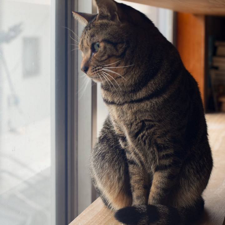 7fbc1b98 1f3a 491a b09f 48689405b75f 1736942433584