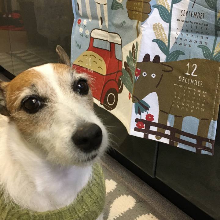 7fbc2bf0 2088 4e02 8165 216fbe4a7845 1610666798956