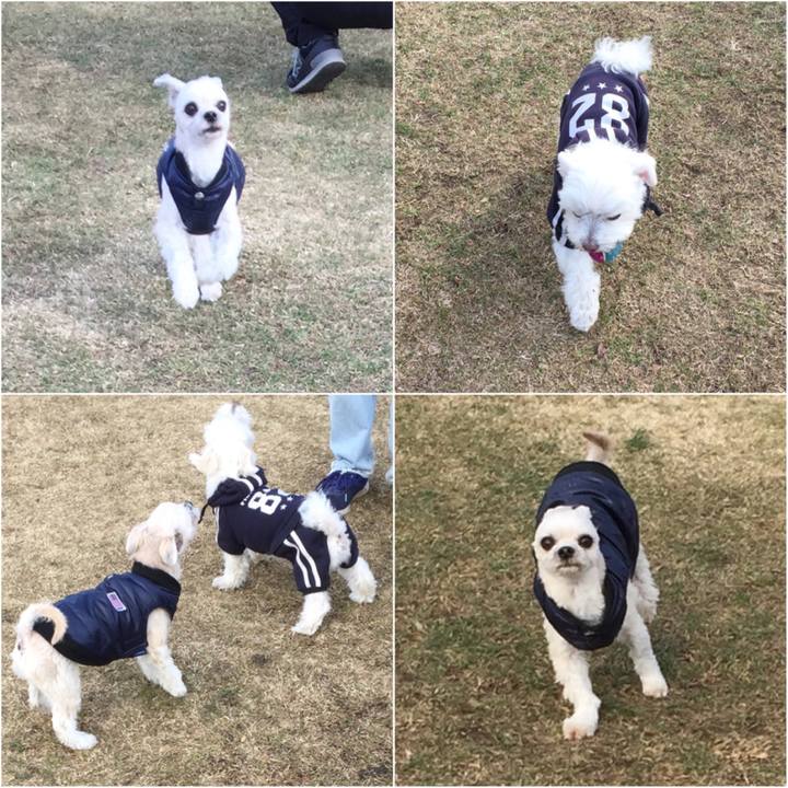 7fbc34a2 2bd4 49e6 b191 6301ef8a03d4 1546751276635