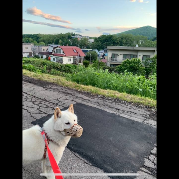 7fbc64f3 0a5f 4b99 8f04 1a752ff78865 1559507650380