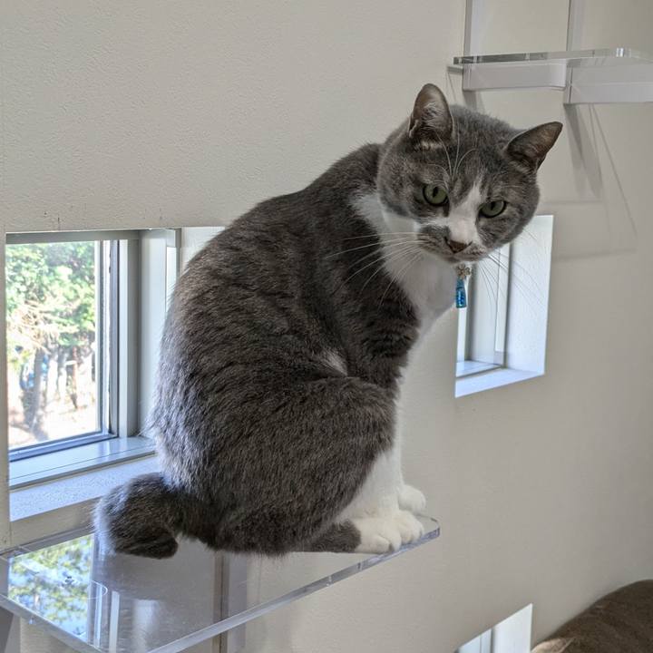 7fbc8264 6b60 4903 baa6 036cc4d69037 1750576483636