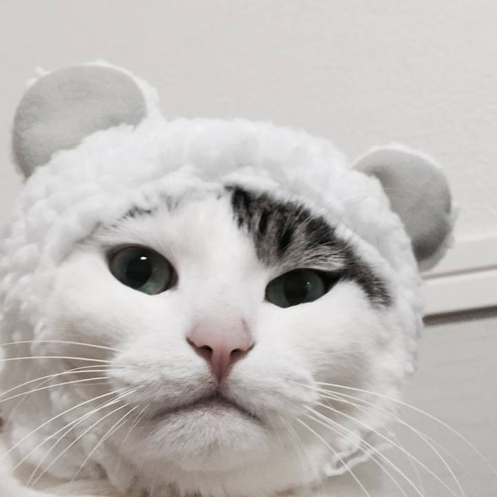 7fbcd462 4bbc 4252 bb93 5ad33d348649 1514641253455