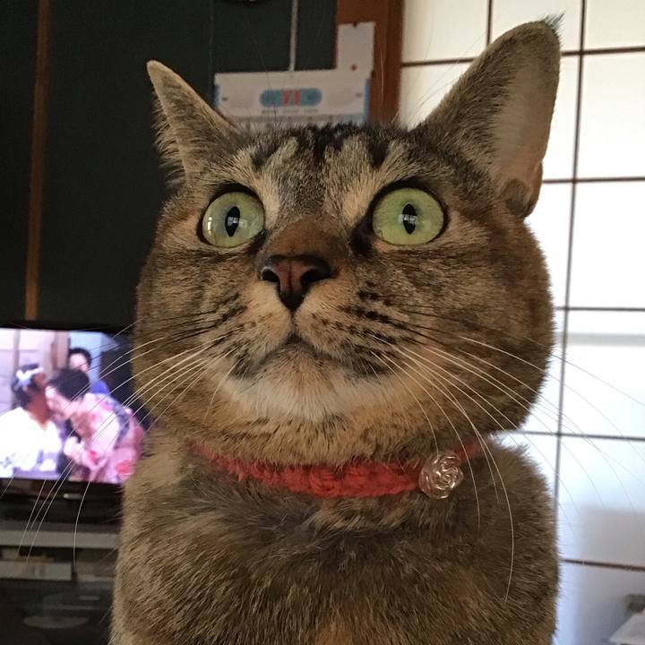 7fbce629 a79d 4f4b 8a18 b42ce2d8486f 1637362641789