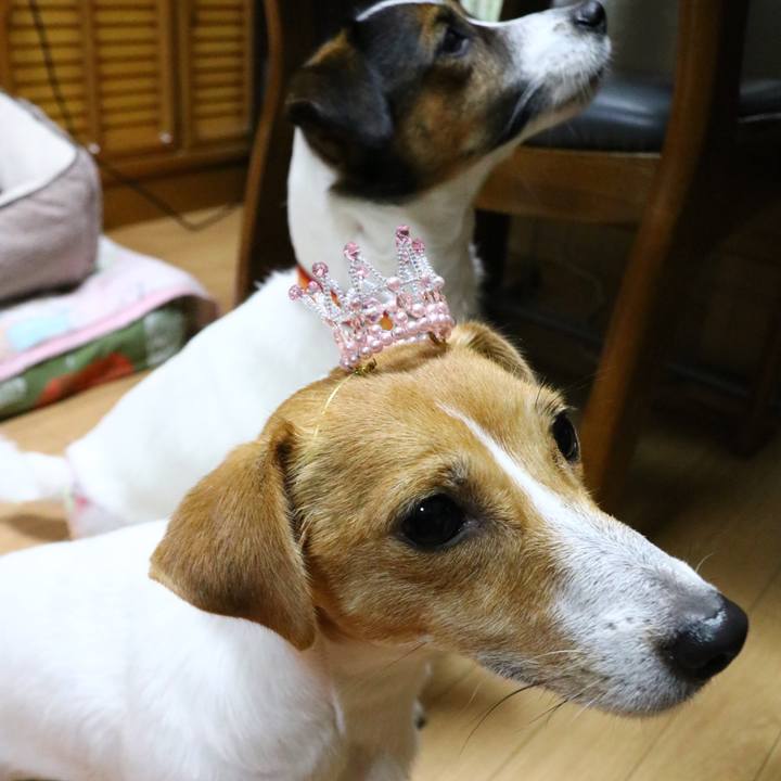 7fbd5eb5 6f10 471e 89dd fdd71431086a 1543831833821