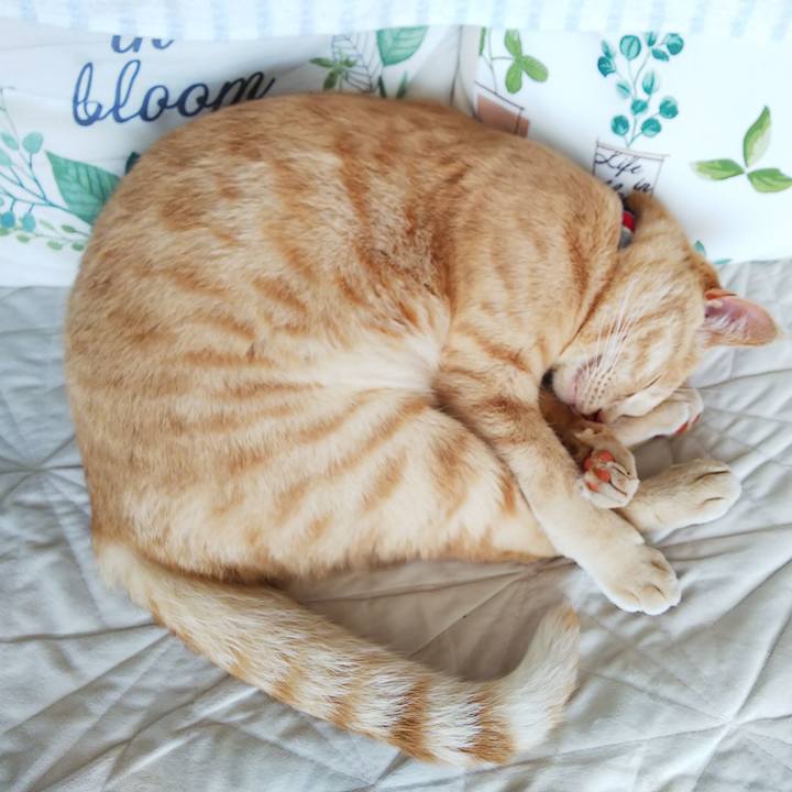 7fbd73cc b972 42d8 b779 aea0d04dfabb 1564353740033