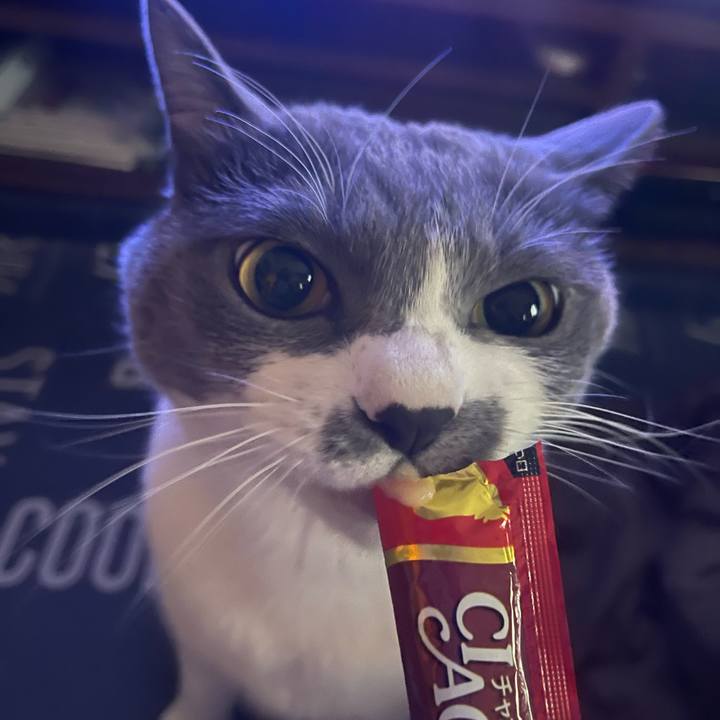 7fbd92f3 935c 4d87 b9f3 4fb0359bd95f 1704521455649