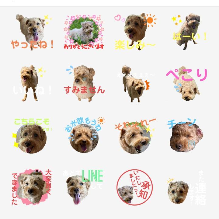 7fbd95c7 ad40 42d5 9ba5 58ff46f19c97 1660909783060