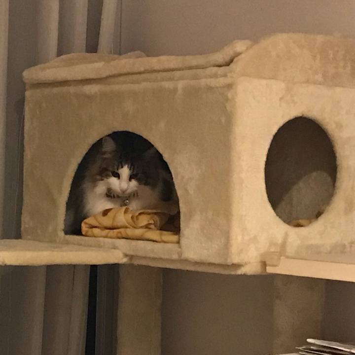 7fbdc338 8725 41f2 88c4 287e5fa70f16 1612363237907