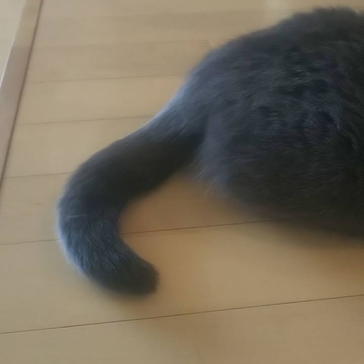 7fbdf0b2 3cc7 49bc 8bf5 37a8a760bd53 1574386653556