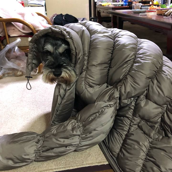 7fbdfcc7 323b 4a37 9b2d 9fcfc00dc625 1577950927879