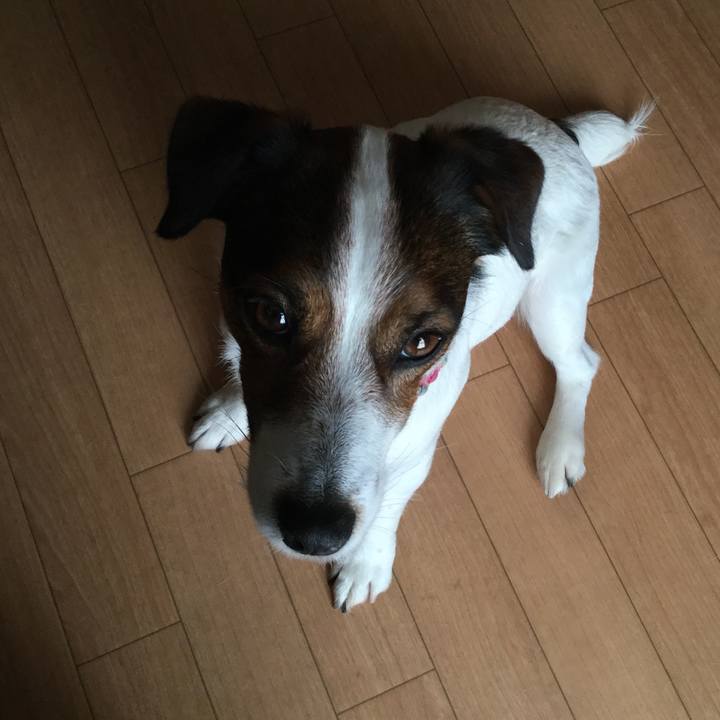 7fbe1af7 cac4 4091 9678 f2e45264f353 1524383818353