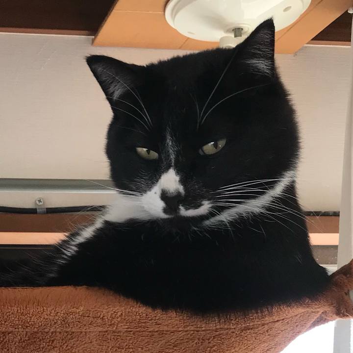 7fbe2d5d 967e 45ed ba83 0e665f6646f0 1639712435166