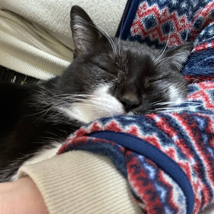 7fbe4bab c04b 4281 9a05 9e14a4d792ac 1710769361001