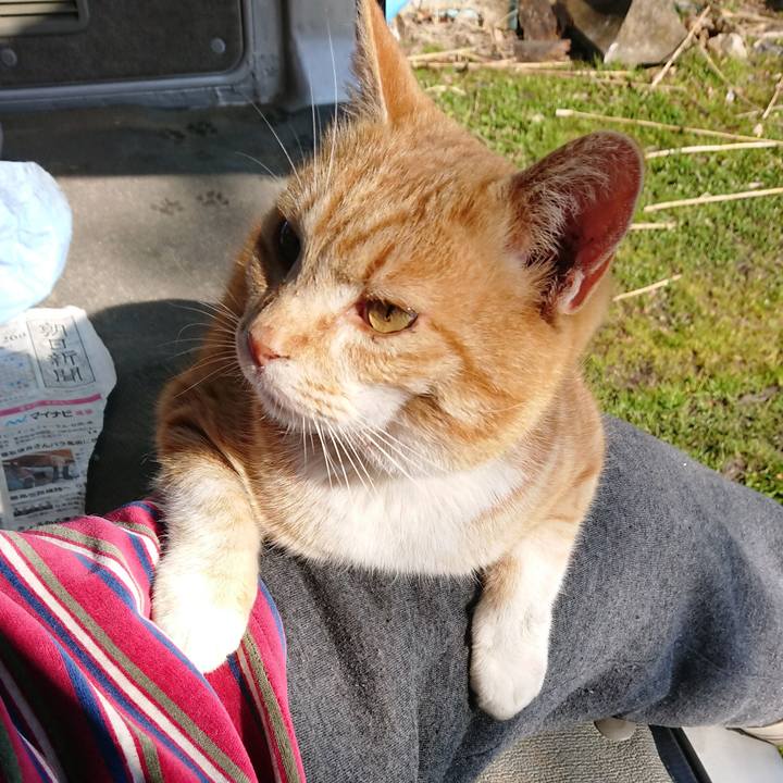 7fbe6997 c984 4623 a088 e3fcf52214cd 1583545917357