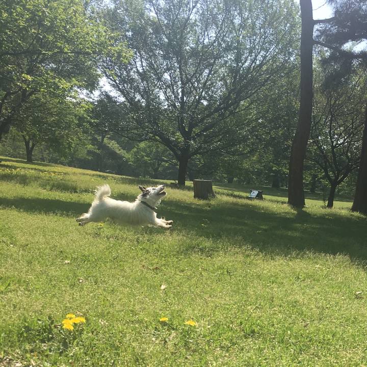 7fbe80b3 ddd0 4339 8817 8777976ee3a5 1524783279768