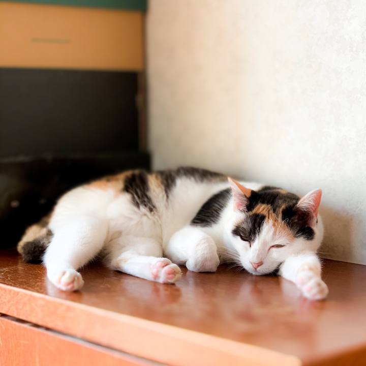 7fbe917c 2a2b 46ee 9c2c 61deaaadcc8a 1601172896126